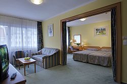 Hotel Rába City Center apartman - győri szállodák közül a Rába hotel a sétáló utca elején a belvárosban van, Hotel Rába apartman Győrben Hotel Rába City Center apartman - győri szállodák közül a Rába hotel a sétáló utca elején a belvárosban van, Hotel Rába apartman Győrben